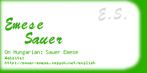 emese sauer business card